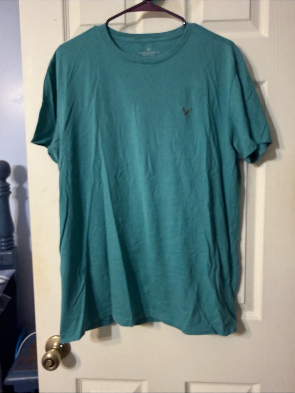 Men's American Eagle Crew Neck T-Shirt in Teal